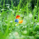 Microsoft Windows (PC User)