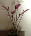 Ikebana