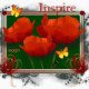 Inspirational Thoughts