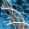 study in biological sciences