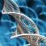 study in biological sciences
