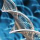 study in biological sciences