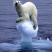 Global Warming