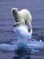 Global Warming