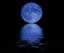 The Moon