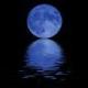 The Moon