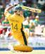 Cricket