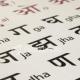 Hindi-the voice of indians(हिन्दी)