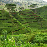 Best Agri Business startup Profile