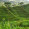 Best Agri Business startup Profile