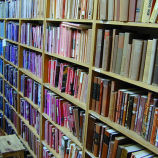 Match the book to the author- easy level