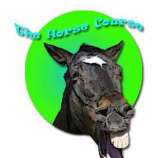 Module 0.0 Test | Equine Business, horse business
