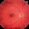 Eye Q test2 | Eye Q test2