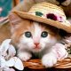 life_smile136