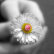 spurthi