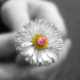 spurthi