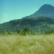 ankurcool