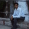vikashmeet
