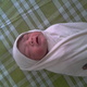 rahulbussa